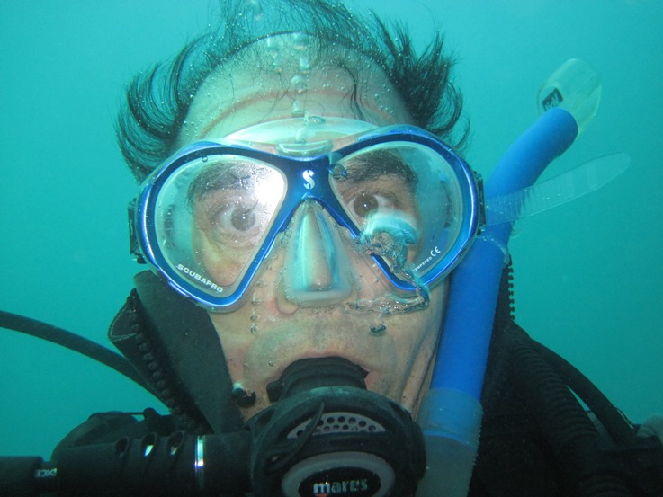 scuba bob